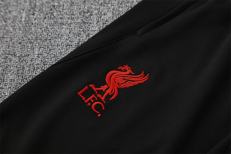 Liverpool FC 2025/2026 Tracksuit training kit