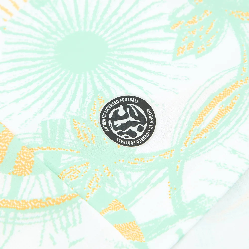 Ivory Coast 2026 World Cup Away Football Jersey