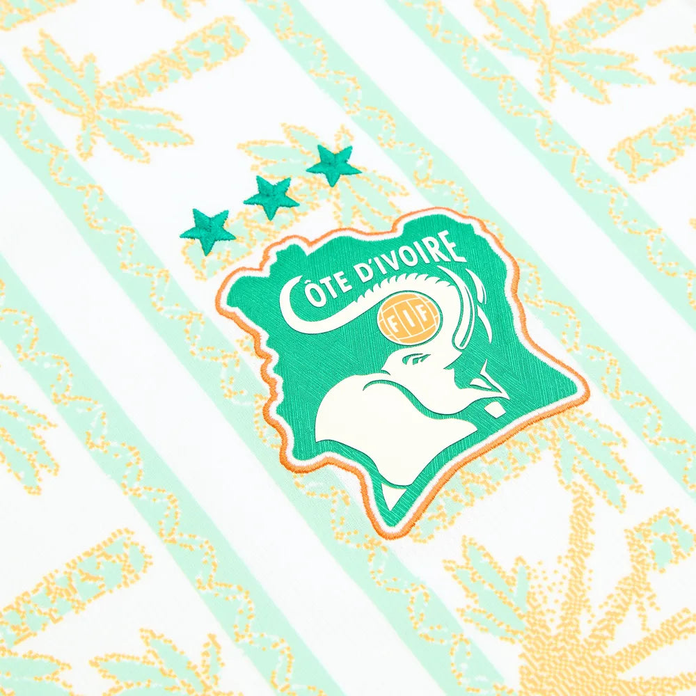 Ivory Coast 2026 World Cup Away Football Jersey